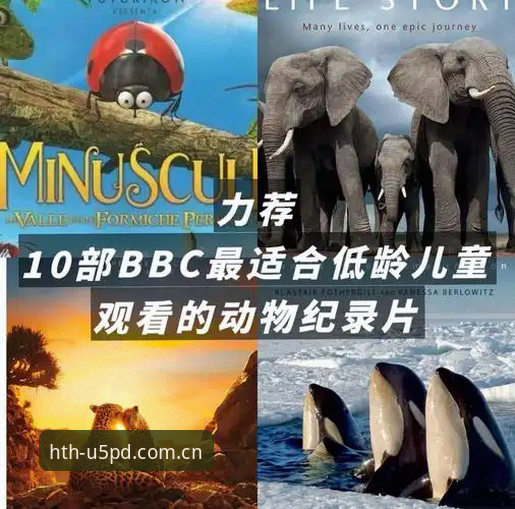 揭秘BBC新纪录片背后：索斯盖特为何选择“改变游戏”而非沉溺胜利？